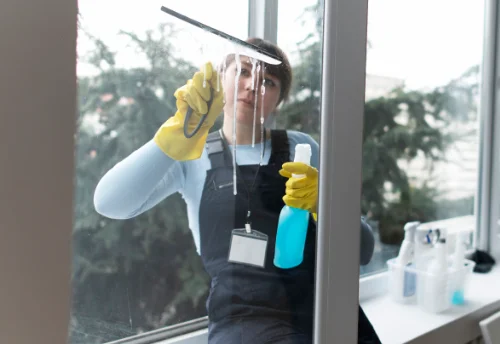 Nettoyage de vitres intérieures et extérieures à Froidfond